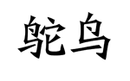 鴕鳥(niǎo)