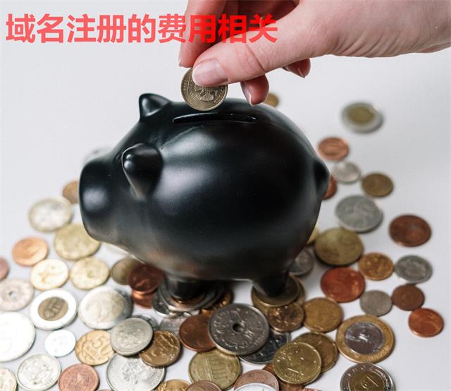 9025fe53292319aaf1e1442e4afbf3b3.jpg 9025fe53292319aaf1e1442e4afbf3b3.jpg