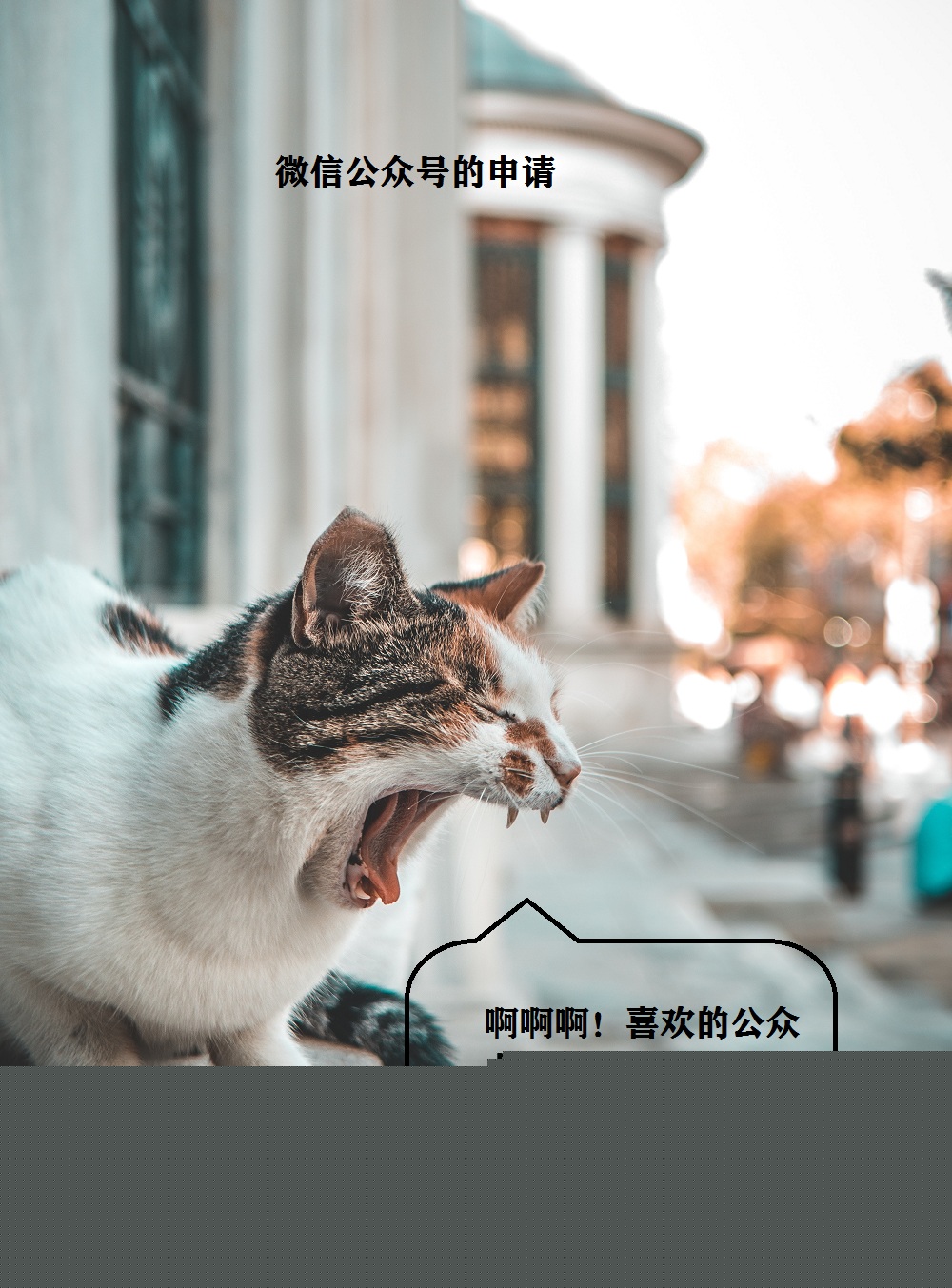 2382064ee4a290cac97807e0c3b52fc4.jpg 2382064ee4a290cac97807e0c3b52fc4.jpg