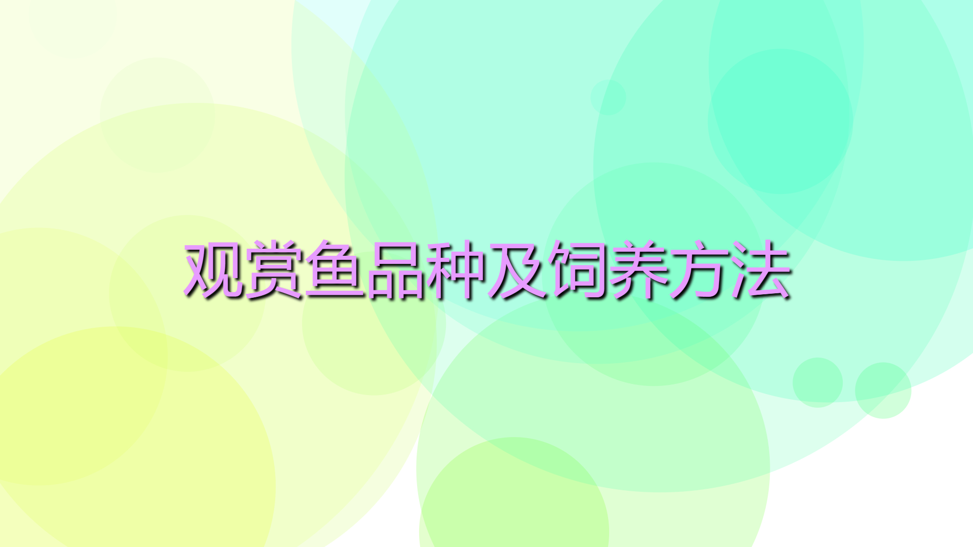 54d93b4a52e0421b914947afa3cf1086.jpg 54d93b4a52e0421b914947afa3cf1086.jpg