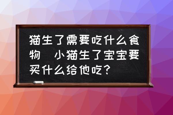 貓生了需要吃什么食物(小貓生了寶寶要買什么給他吃？)